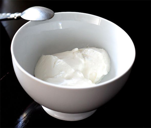 fromages blanc yaourtiere cuisinart